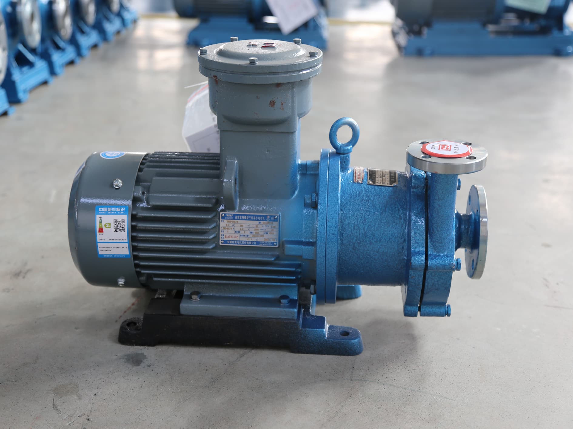 Stainless Steel Magnetic Pump Model CQ